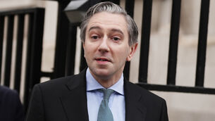 <p>Simon Harris: 'I think if people are giving a reference, they should have the courage to put their name to it.'</p>