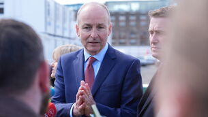 <p>The Taoiseach denied he had pushed the minister out of Government (Niall Carson/PA)</p>