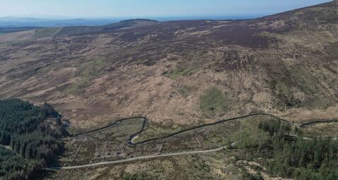 International intrigue and Government interest in 1,500a mega-holding due for May Day auction