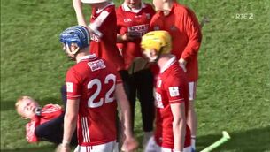 <p>A young Cork supporter was accidentally hurt during the celebrations following his county's victory over Tipperary on Sunday. Pic: RTÉ</p>