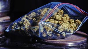 <p>The court was told: 'A search was carried out in the attic and cannabis was found in vacuum-packed packages and on further search there were deals in smaller packages elsewhere.' File picture</p>