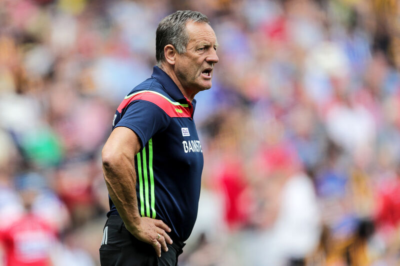 Former Cork manager John Meyler heads up a new expert hurling advisory group. Pic: ©INPHO/Laszlo Geczo