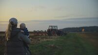 Motherly Farmer Cradles Her Baby Boy,Watching A Tractor Plow The Fields Under The Evening Sky