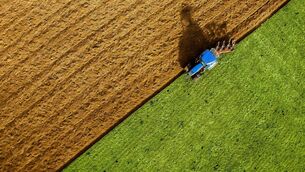 <p>Farm-focused lenders work with the sector around seasonal income and unpredictable cash flow. Picture: iStock</p>