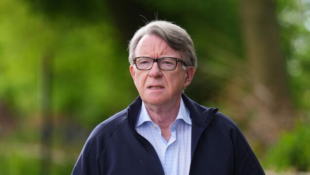 <p>Peter Mandelson (James Manning/PA)</p>
