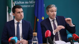 <p>Ministers Jack Chambers and Simon Harris launching the Annual Progress Report at Government buildings. </p>