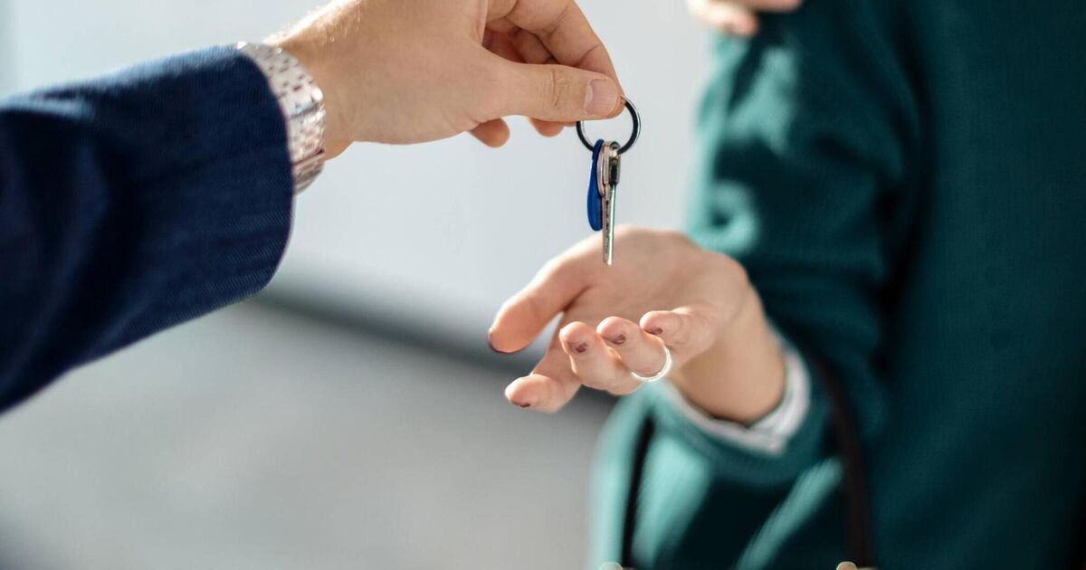 Irish Examiner view: Easy money for back-yard opportunists