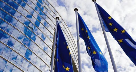 European Union Flags