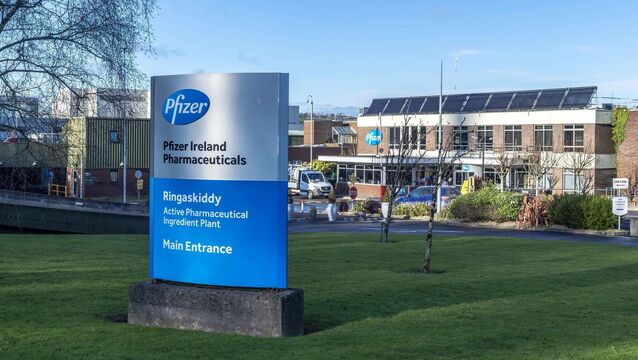 <p>The Pfizer pharmaceutical plant in Ringaskiddy, Co Cork. File picture</p>