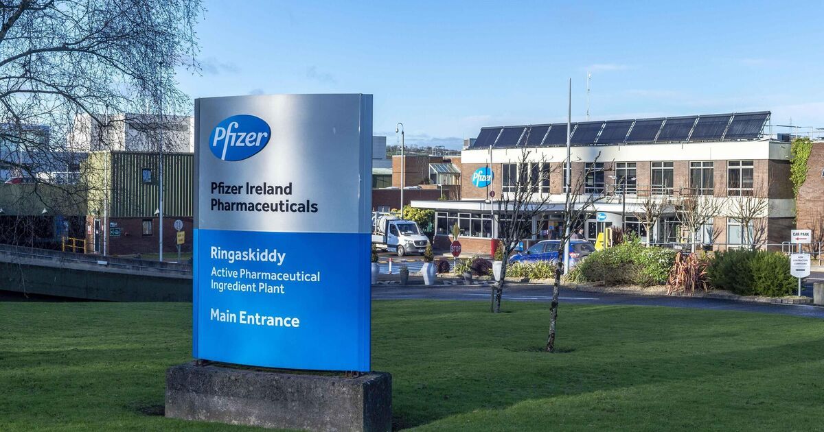 Pfizer to Cut Over 100 Jobs at Ringaskiddy Plant in Cork as Union Calls for Urgent Talks
