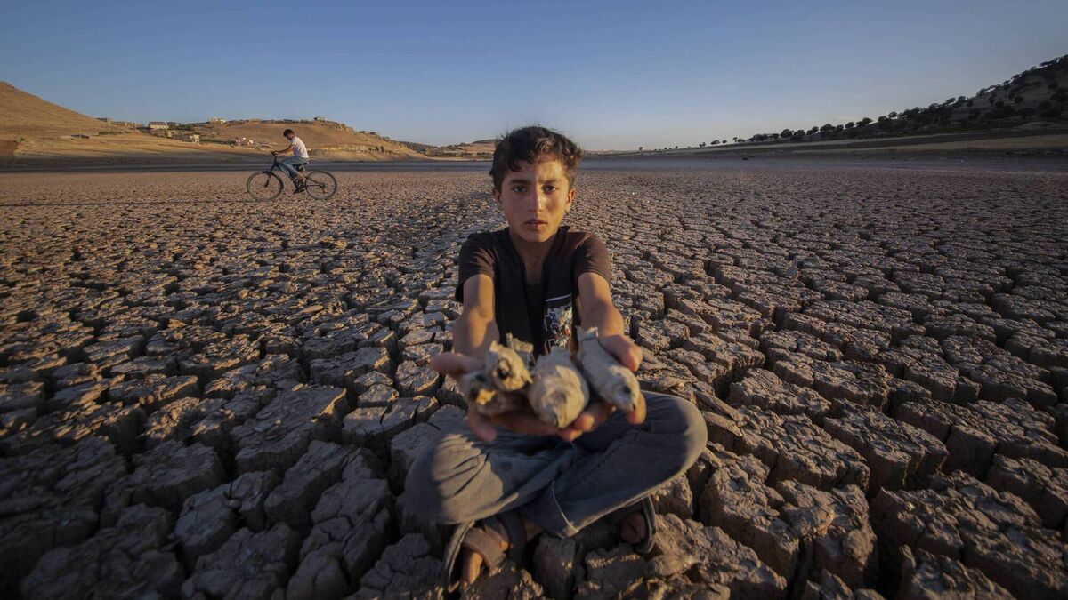 Extreme heat and drought threatening world's food systems