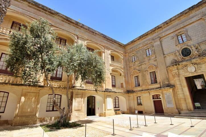 An olive tree grows in the heat at Vilhena Palace in Mdina