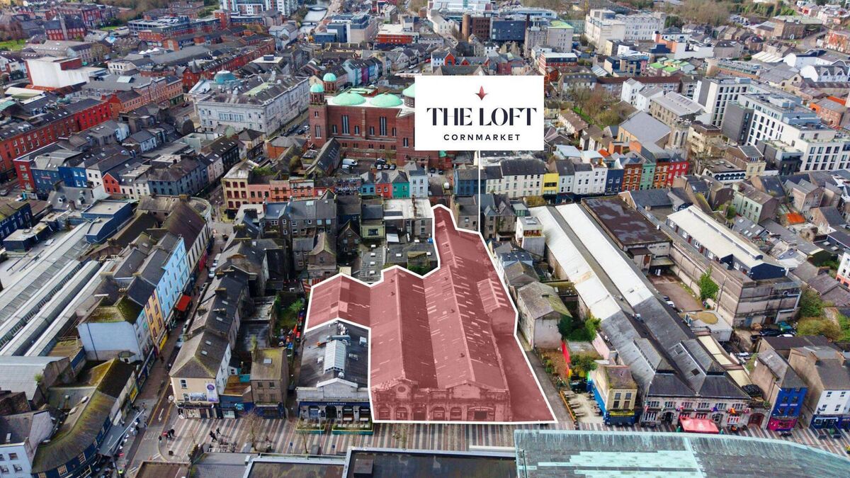 Legacy furniture superstore The Loft hits the market for €6m
