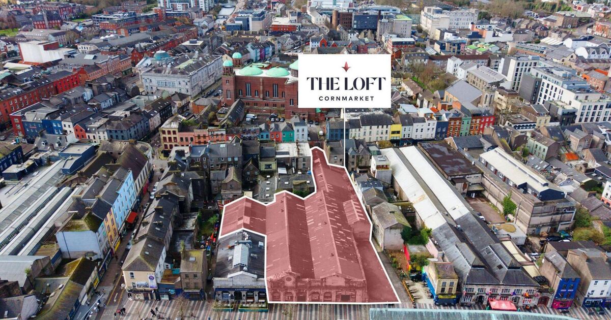 Legacy furniture superstore The Loft hits the market for €6m