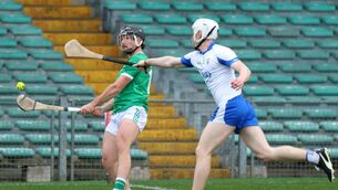 <p>MISSED CHANCE: Limerick's Hugh Flanagan clearing the sliotar against Waterford's Conor Lynch. Pic: Brendan Gleeson.</p>