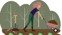 Flat vector illustration of a girl who is transporting land in a wheelbarrow against the background of cabbage beds. Work in the