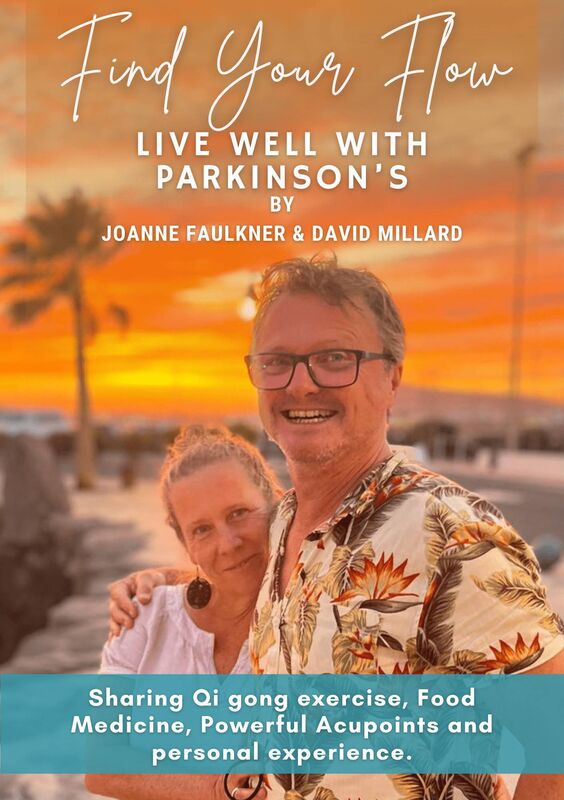Find your flow by Joanne Faulkner and David Millard