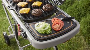 <p>The Weber Traveller, from €399.</p>