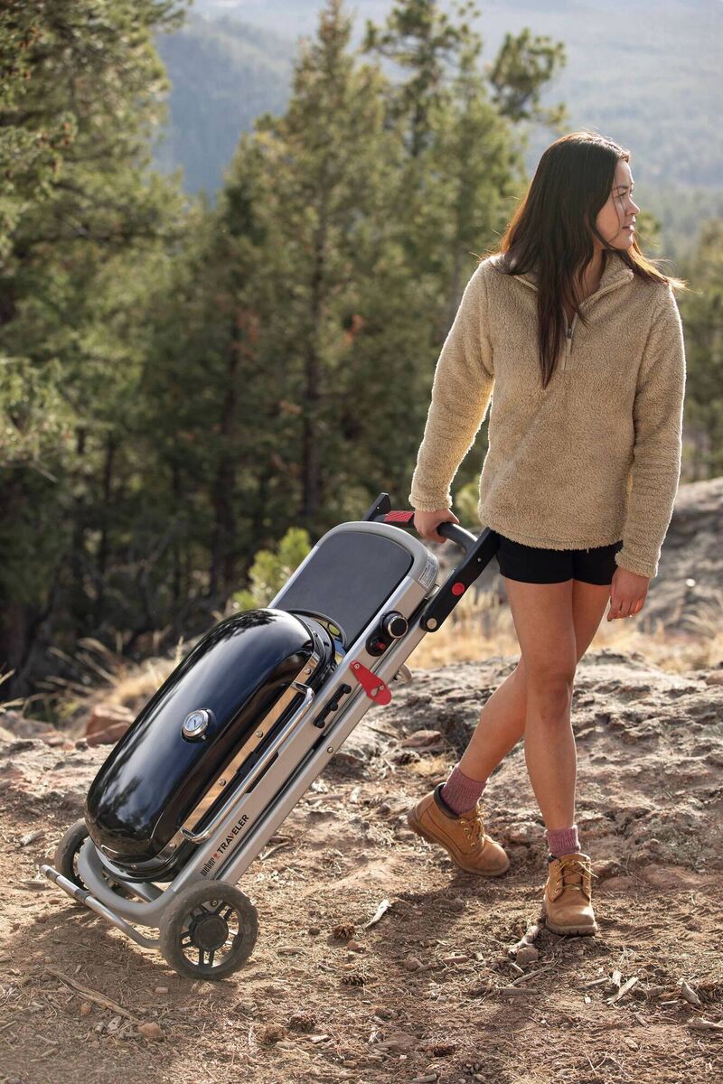 Weber Traveller, from €399.