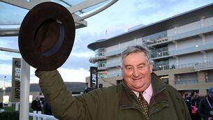 <p>Noel Meade will be hoping Cheltenham hero The Mourne Rambler can claim further bumper glory at Punchestown next week.  	Picture: Healy Racing </p>