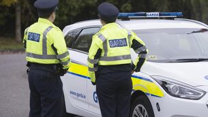 <p>Two gardaí attended the scene and were assaulted by a man aged in his 30s. File picture: Dan Linehan.</p>