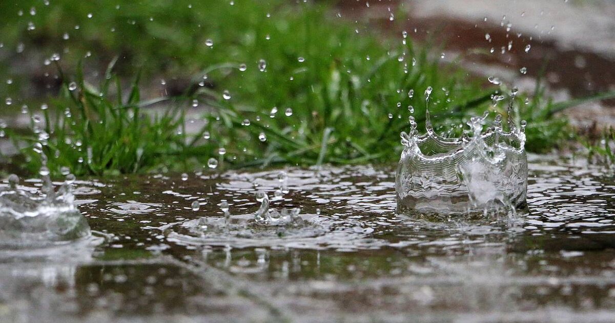 Michelle McKeown: The smell of rain and the science behind it