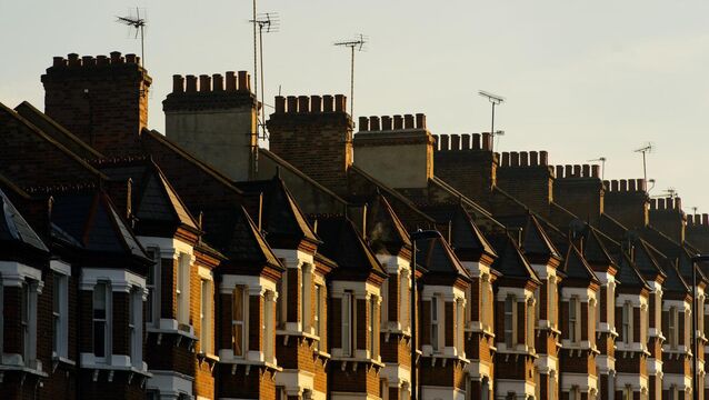 <p>In the 1920s, large-scale housing developments typically featured small terraced houses with gardens, designed to balance affordability with basic standards of comfort and hygiene.</p>
