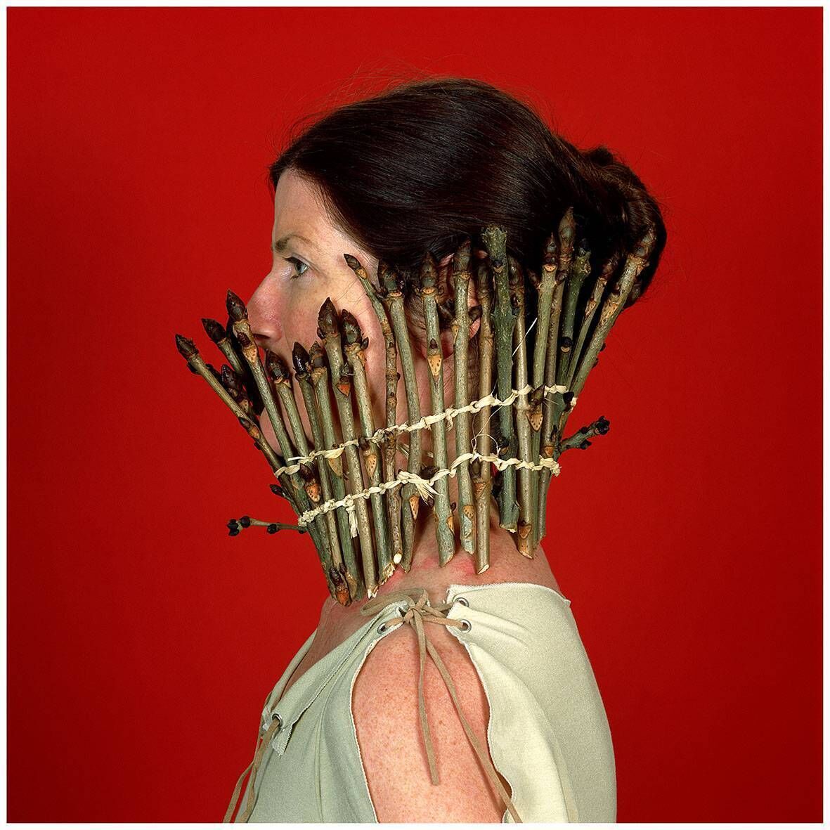 Alice Maher, Palisade, 2003. 