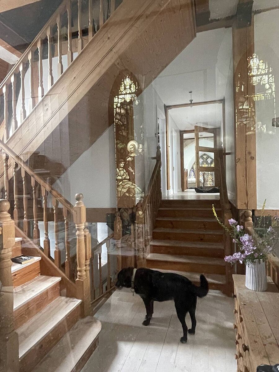 Coco the dog takes time out in the home and studio of Johanna Connor and Michael Quane.