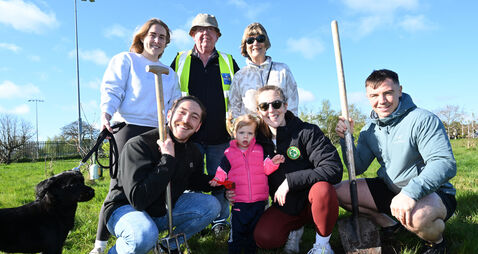 Watch: Rotary Club plants a grove of native Irish oak trees