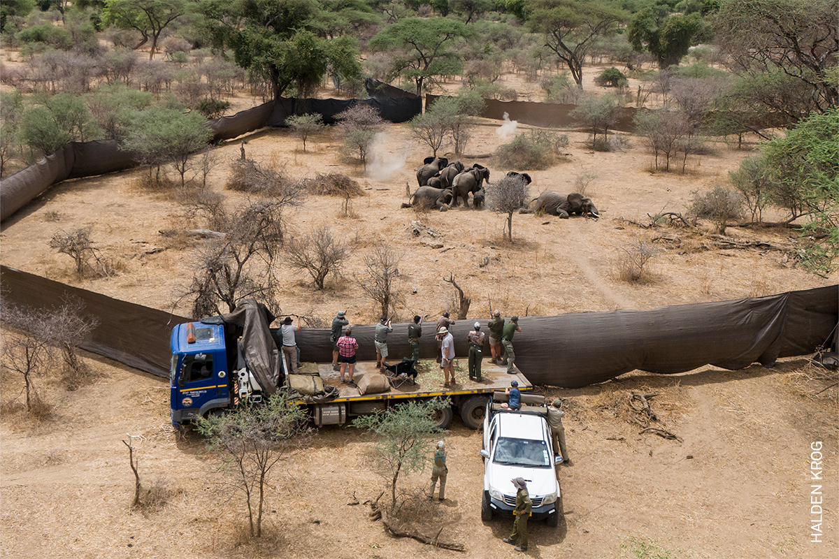 10 Years and Under The Weaver's Lair