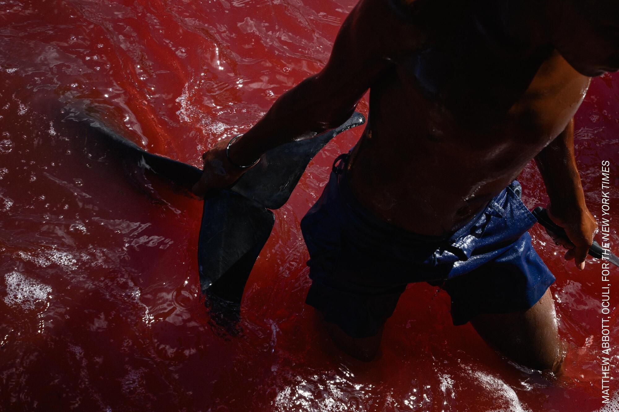 10 Years and Under The Weaver's Lair