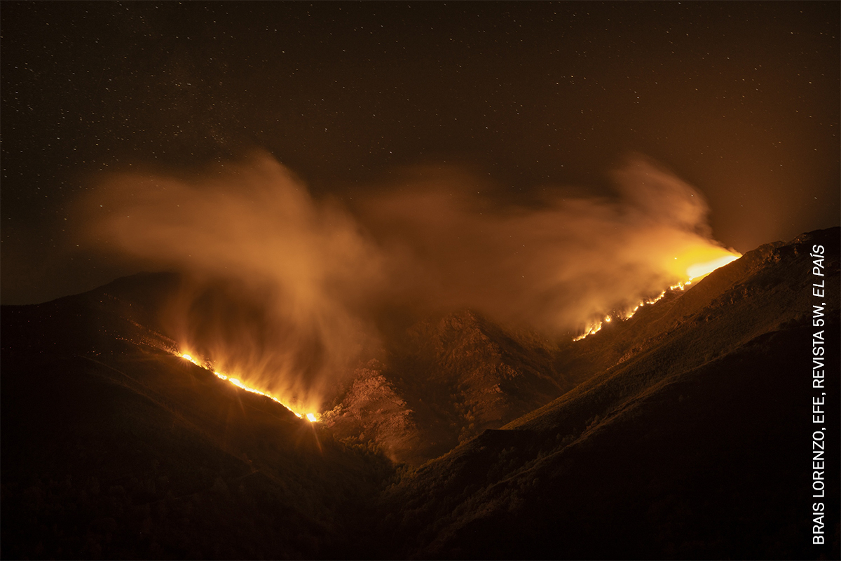 10 Years and Under The Weaver's Lair