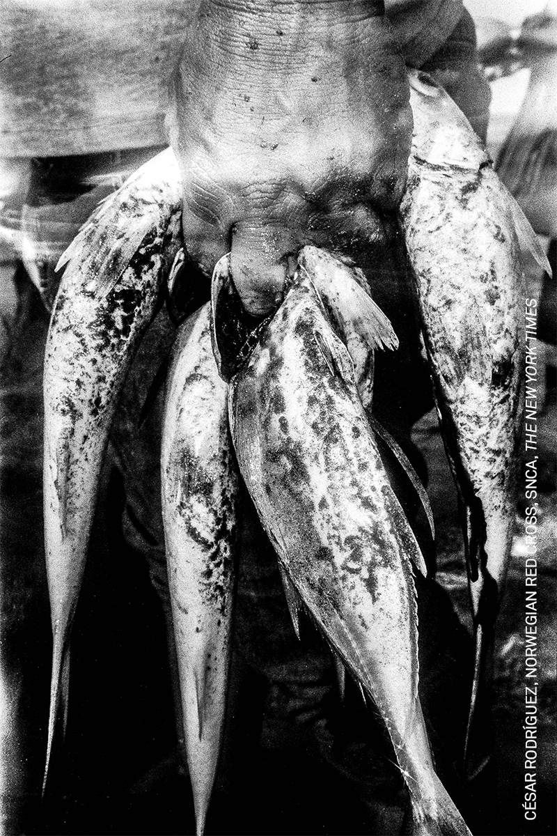 10 Years and Under The Weaver's Lair