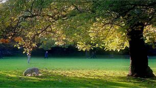 <p>The forecaster said sunshine should be expected most of this Friday.</p>