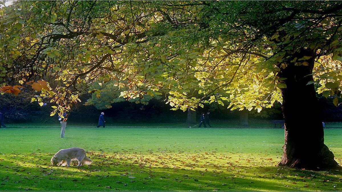Temperatures to hit 20C as dry and sunny spell continues into next week