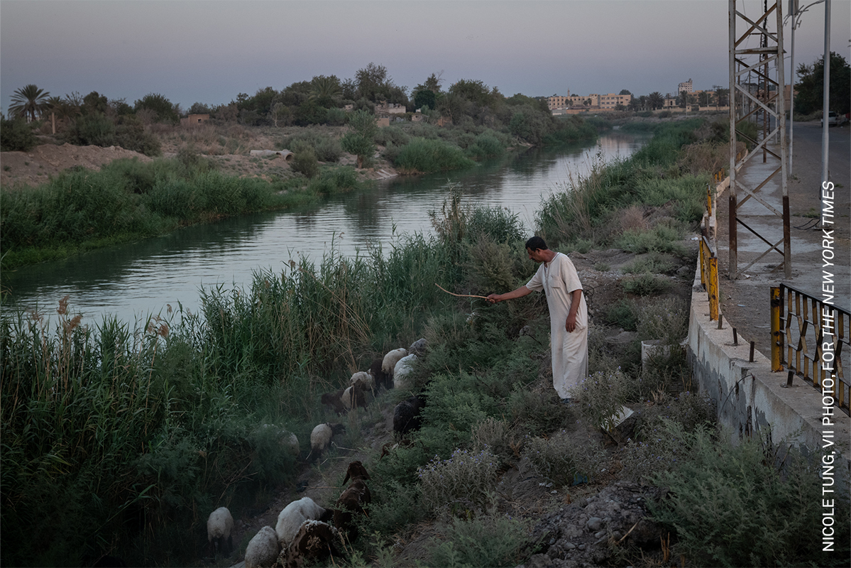 10 Years and Under The Weaver's Lair