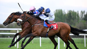 <p>Limestone and Joey Sheridan (far side) win for trainer Joseph O'Brien from Mr Vettori (Shane Foley). Pic: Healy Racing.</p>