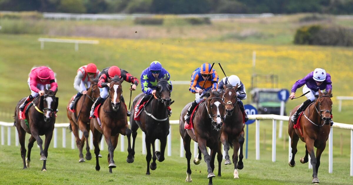 O'Brien hails 'lovely' Scandinavia after cruising to Vintage Crop Stakes at Navan