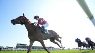 <p>POURING IT ON: Jockey Joey Sheridan riding Thundering On, on their way to winning the Irish Stallion Farms EBF Salsabil Stakes (Group 3) (Fillies) at Navan Racecourse in County Meath, Ireland. Pic: Niall Carson/PA Wire</p>