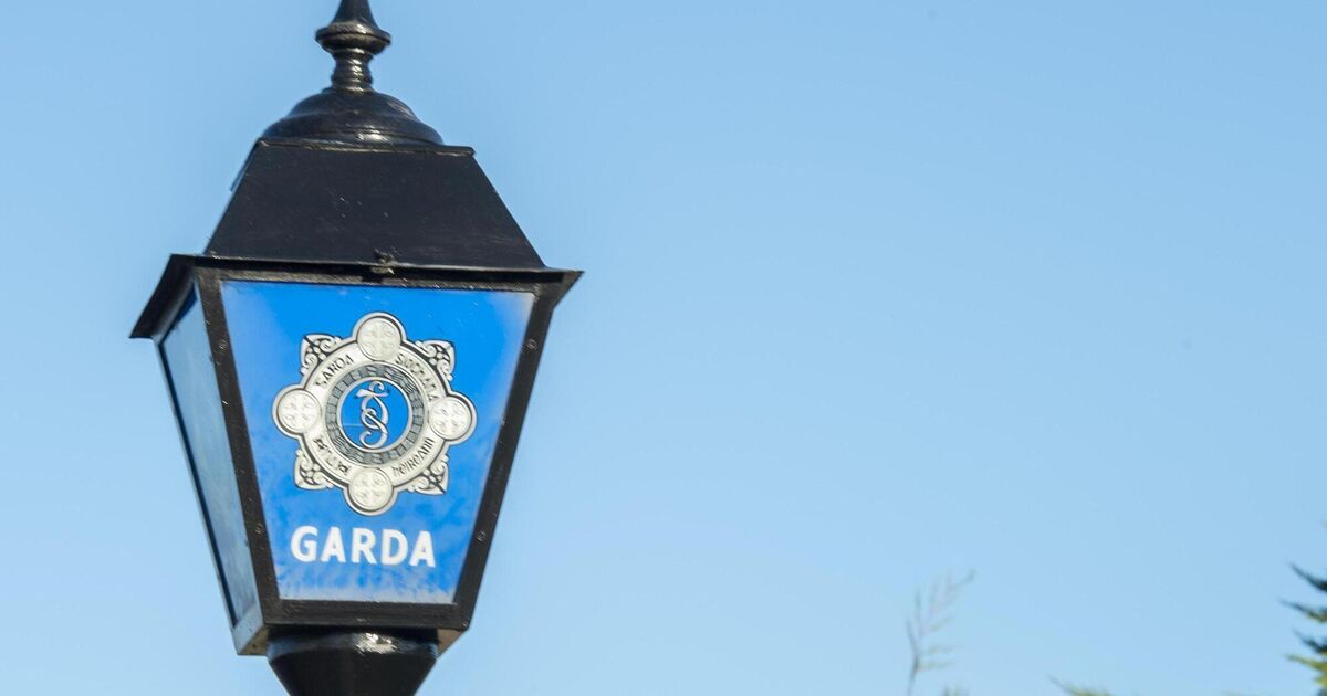 Man arrested as 65-year-old woman dies after assault in Galway