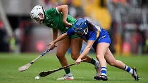 <p>Tipperary will face the winners of Waterford and Kerry in the Munster camogie final. Pic: Ray McManus/Sportsfile</p>