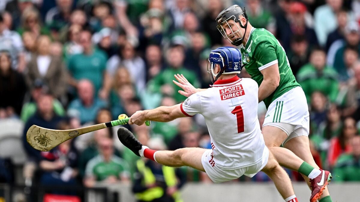 Limerick player ratings: Casey and O'Brien lead from the front