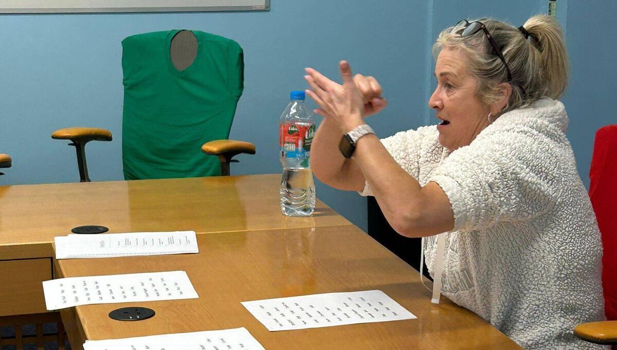Julie Nolan teaching Lámh Classes