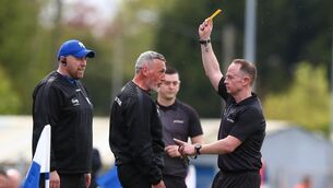 <p>FLASH POINT: Waterford manager Peter Queally is shown a yellow card by referee Chris Mooney. Pic: INPHO</p>