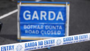 <p>A woman in her 80s has died after a single-vehicle collision in Co Dublin. Picture: PA</p>