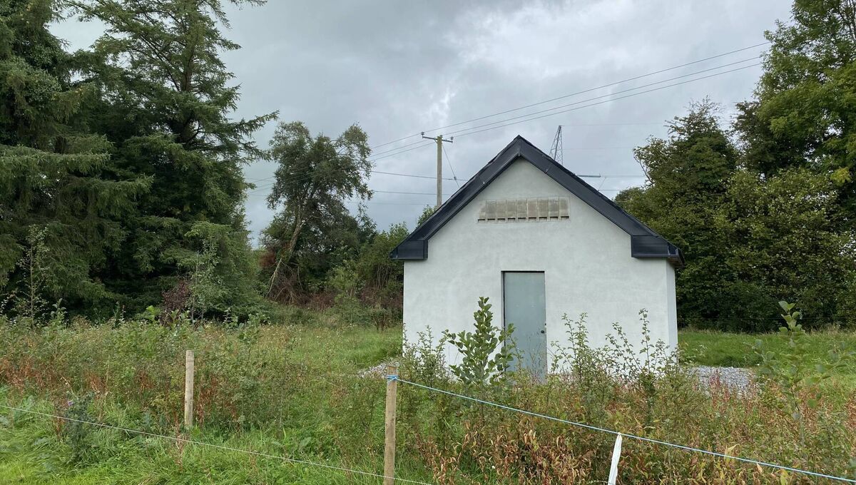 Safeguarding Ireland's biodiversity: Artificial bat roost at the Oldstreet 400kV substation in Ballynaheskeragh, Co Galway. 
