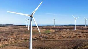<p>A €150m windfarm project opened on a bog in Co Offaly on Monday will be able to provide renewable energy for Amazon to develop data centres in the Midlands.</p>