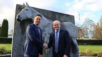 Minister appoints new chairperson to Irish National Stud board
