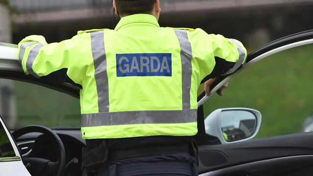 <p>Gardaí are appealing to anyone who witnessed the incident to come forward. Picture: Dan Linehan.</p>